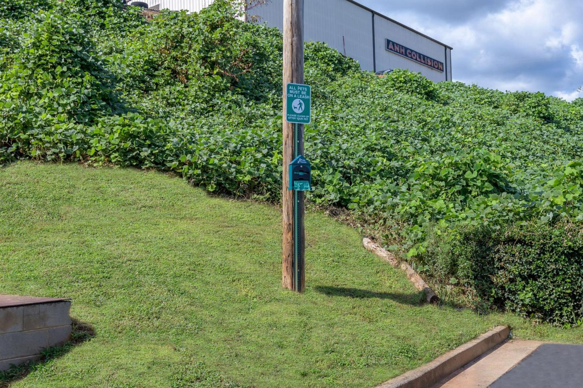 Motel 6 Dawsonville Ga North Ga Premium Outlets Εξωτερικό φωτογραφία